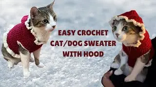 Easy Crochet Cat/Dog Sweater with Hood | Beginner Friendly!