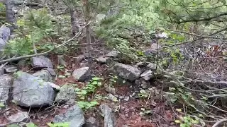 East Rosebud hike