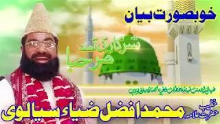 Qari Afzal zia chisthi sialvi 07 12 18 Rabiaawall