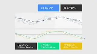 How to Read MACD Indicator ｜Explained For Beginners