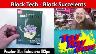 5-Below Block Tech Powder Blue Echeveria! Is it worth the $4?!