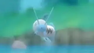 How to Catch BARBOACH (Great Marsh) - Pokemon Brilliant Diamond & Shining Pearl
