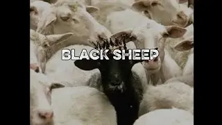 BLACK SHEEP &ndash; Afrobeat x Drill Instrumental | Dark & Melodic