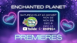 New Season of Kids TV Series, Enchanted Planet.  It's a place where everything is possible!