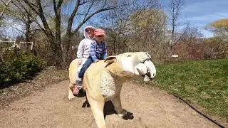 Toronto Zoo April 2022