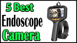 TOP 5 Best Endoscope Camera Review 2025