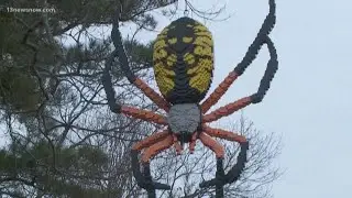 Giant LEGO sculptures on display at Norfolk Botanical Garden