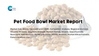 Pet Food Bowl Market Report 2024 | Forecast, Market Size & Growth