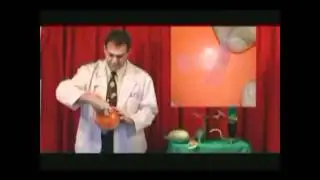 Refutando a creacionistas #2-I