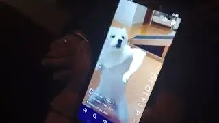 My video is funny and lunch break