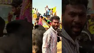 u puram bull festival 🔥🔥🔥🤾&zwj;♀️