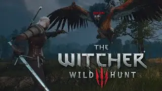 HOW DO YOU FIGHT BOSSES!?!? 😂 - First Time Playing The Witcher 3 The Wild Hunt (Part 3)