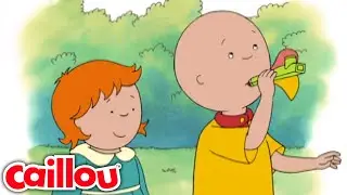 El silbato | Caillou Español Castellano - WildBrain | Caricaturas para niños
