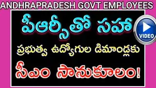 AP Government is Ready Solve all problems of Govt Employees including PRC