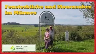 Fensterblicke und Moorzauber im Mürmes bei Ellscheid | Natur Aktiv Erleben [2,7K]