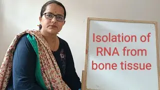 Isolation of RNA from bone tissue | isolation RNA from hard tissue | mixed method for RNA isolation