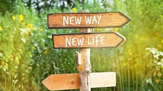 Celebrity Life Coach Mike Bayer Breaks Down The 7 Spheres Of Becoming Your Best Self