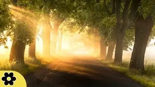 Исцеляющая Музыка для Медитации, Расслабляющая Музыка, Музыка для снятия стресса, ✿2480C