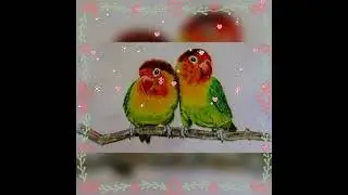 #Parrot 💫#GreenParrot💞 #AbhishaCreation #BirdVideoSong 🐦🐾#VideoSong #SlideVideo 🐦🐤🐥🐾#Music 🌈🌈😍😍