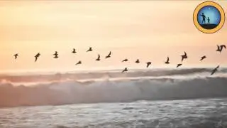 Onderwish - Good Morning Sunshine