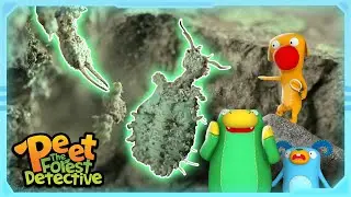 Creepy Crawly Mystery Revealed! | Full Episode | Cartoons for Kids | Peet The Forest Detective