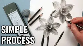 How to Draw Flowers with Graphite Pencils (Beginner Process)