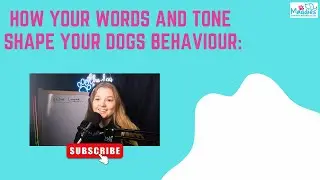 How your words & tone shape your dogs behaviour - Pawfect Pooches Podcast eps 2