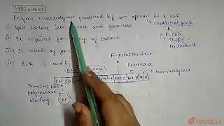 Enzyme transacetylase produced by lac operon in E.coli | CLASS 12 | MOLECULAR BASIS OF INHERITAN...