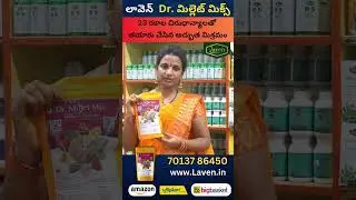 Unlock the Power of 23 Millets with Laven Dr. Millet Mix &ndash; Your Path to Better Nutrition