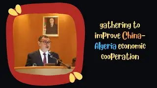 Gathering to improve China-Algeria economic cooperation