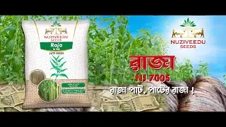 RAJA NJ7005_JUTE -NSL