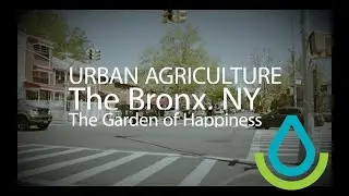 A High Tunnel for the Garden of Happiness, The Bronx