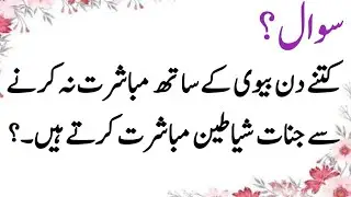 Islamic question and answer / unique Urdu quiz/interesting Urdu pahilyan/ Mujeeb Voice 