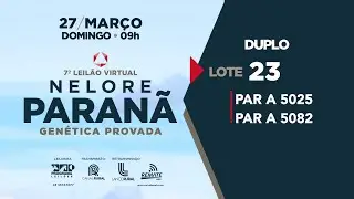 LOTE 23 PAR A5082 PAR A5025