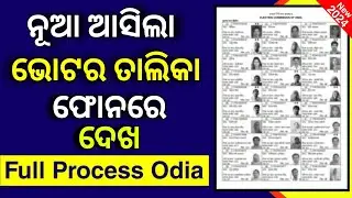 New Voter ID Card List Odisha 2024 - How To Check New Voter List 2024 Odisha- Download E-Epic Online