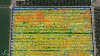 Treatment Trials on Almond Orchard