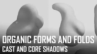 Critique Hour! Organic form studies and folds!