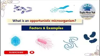 opportunistic microorganisms, factor and example of opportunistic microorganisms, #microbiology