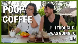 Kopi Luwak Coffee Tasting And The New Glass Bridge In Ubud Bali