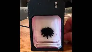 Leo&rsquo;s newest creation and my birthday gift!
