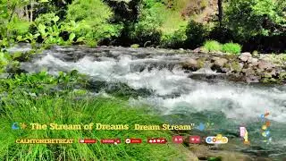 The Relaxing Stream of Dreams#RelaxingStream #Dreamscape #NatureSounds #CalmVibes #peacefulmind