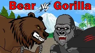 BEAR vs GORILLA | Animal Fight Animation (Who is stronger?)