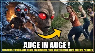 &bdquo;Sie sind uns in jeder Hinsicht &uuml;berlegen!&ldquo; - In Varginha sind Aliens gelandet! schw&ouml;ren Augenzeugen