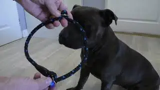 Kouzelné vodítko - Jak správně nasadit, aby fungovalo?! (video obsahuje skryté titulky)