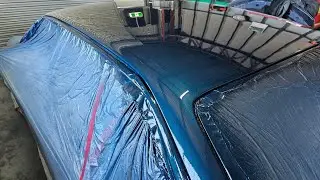 VS commodore fresh paint on bonnet and roof.