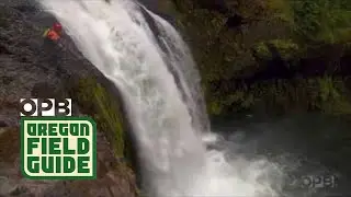 Kayaking the Salmon River | Oregon Field Guide