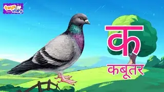 क से कबूतर | Hindi Varnamala | Kids Learning Video | Toy Story Kids