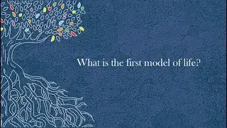 Beginning with the Tree Part 2: What is the first Model?
