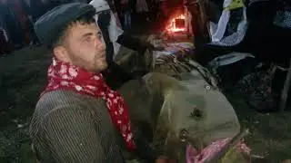 İvrindi Geçmiş Mahallesi Deve Eğlencesi - 3 ( Köy Seyirlik Oyunu )