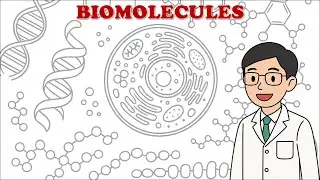 Biomolecules